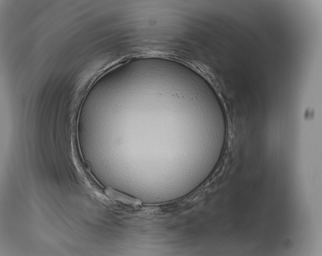 X0000114540097200911091142