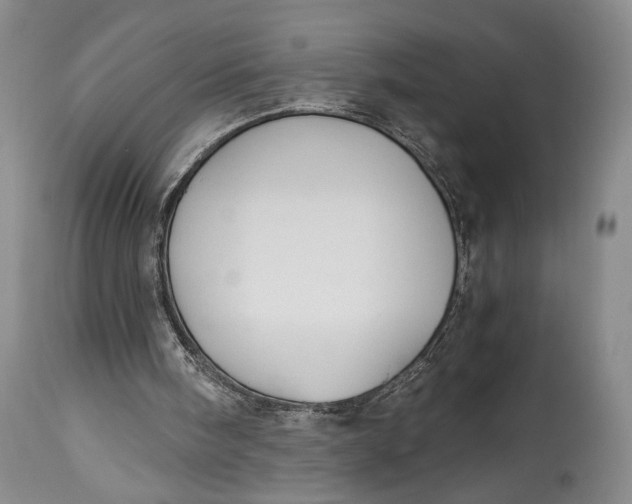 X0000114540098200911091142