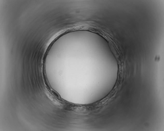 X0000114540100200911091142