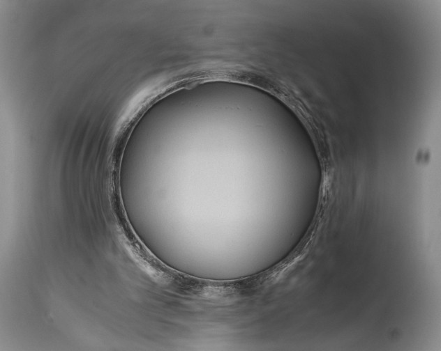 X0000114540101200911091142