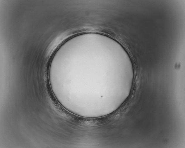 X0000114540103200911091142