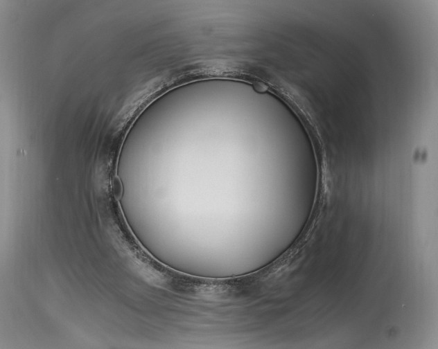 X0000114540105200911091142