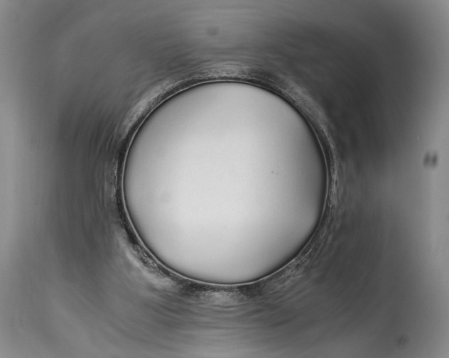 X0000114540107200911091142