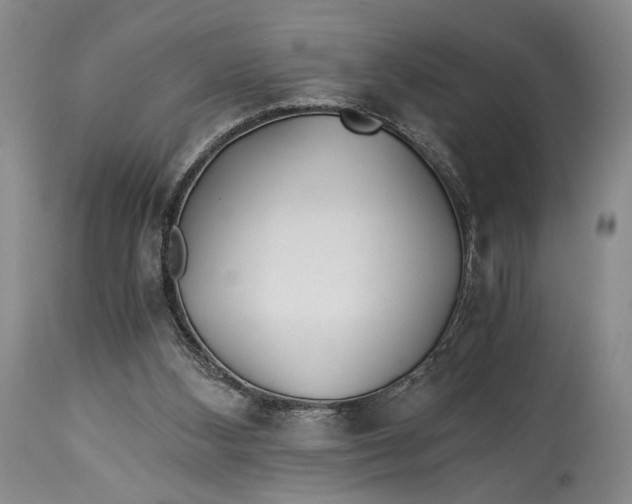 X0000114540108200911091142