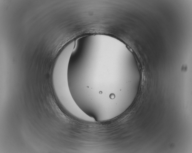 X0000114540109200911091142