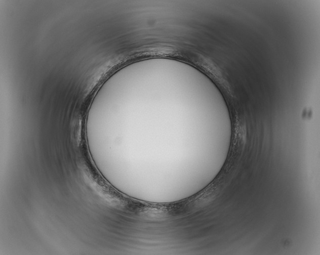 X0000114540110200911091142