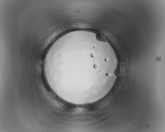 X0000114540111200911091142