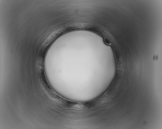 X0000114540119200911091142