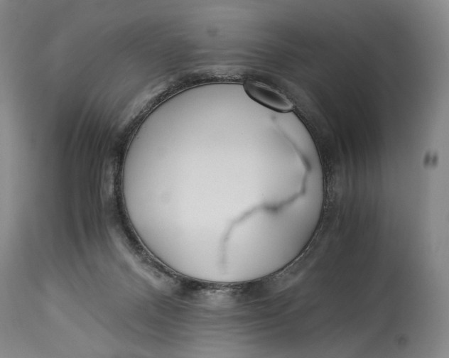 X0000114540120200911091142