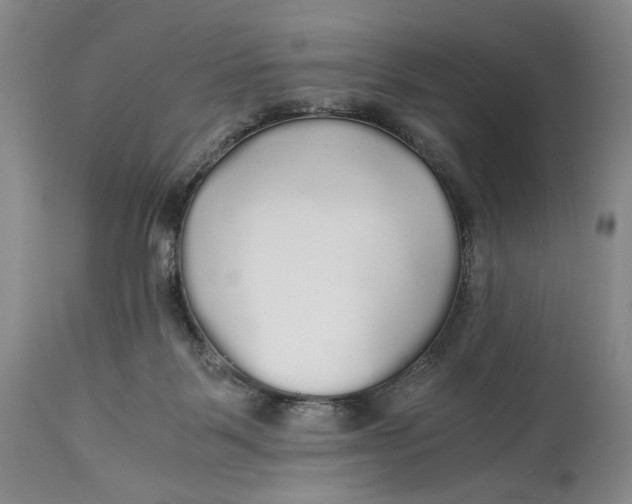 X0000114540123200911091142