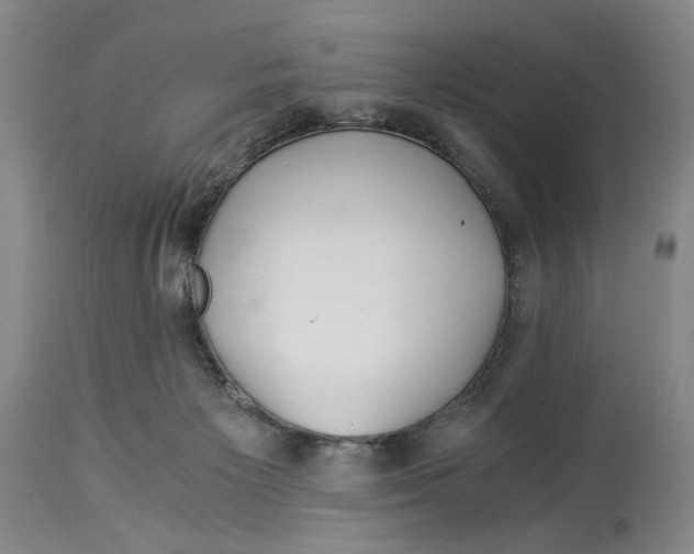 X0000114540125200911091142