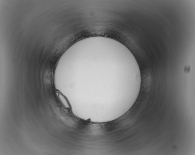 X0000114540126200911091142