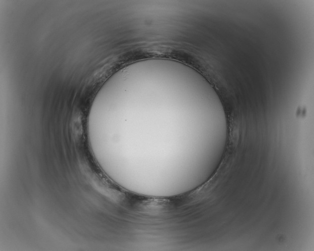 X0000114540128200911091142