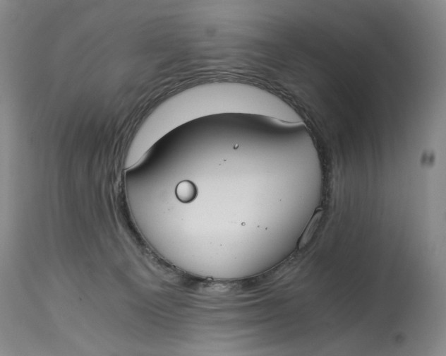 X0000114540129200911091142