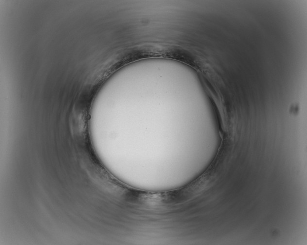 X0000114540131200911091142