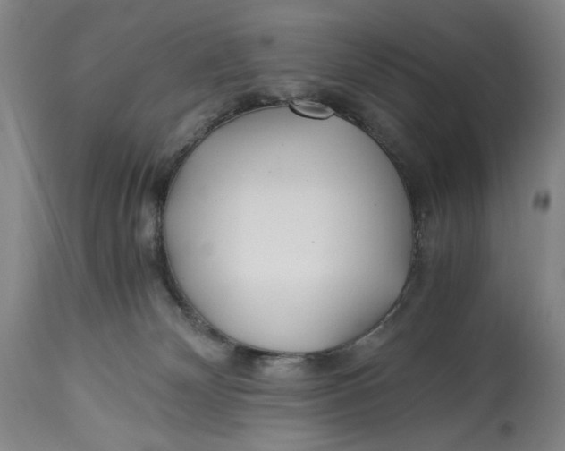 X0000114540132200911091142