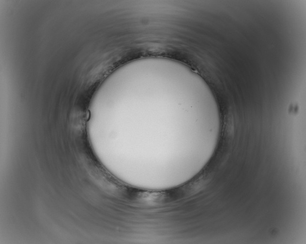 X0000114540135200911091141