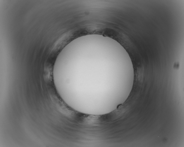 X0000114540138200911091141