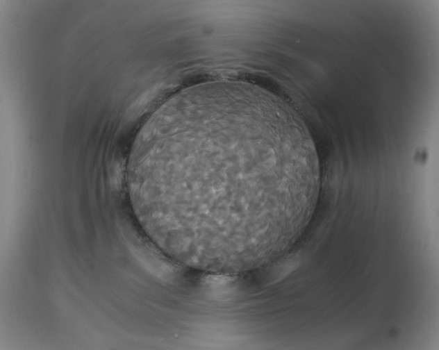 X0000114540139200911091141