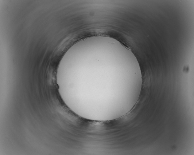 X0000114540140200911091141