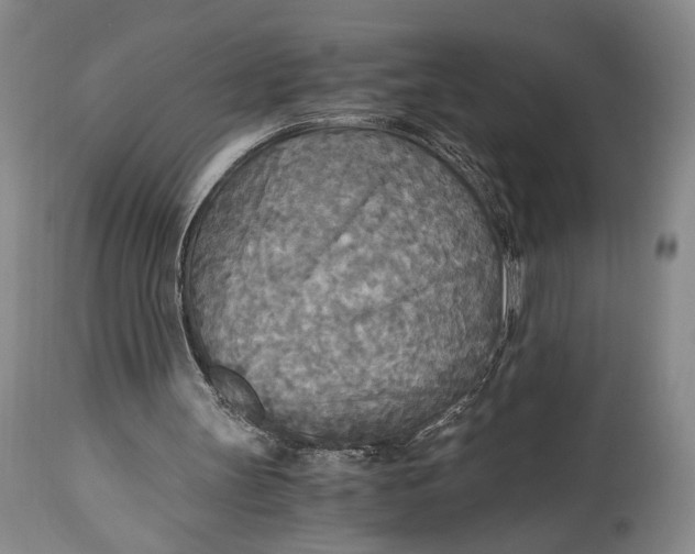 X0000114540147200911091141