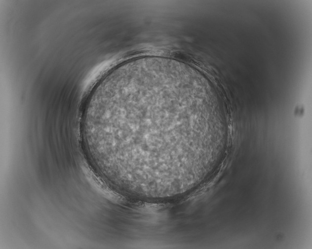 X0000114540149200911091141