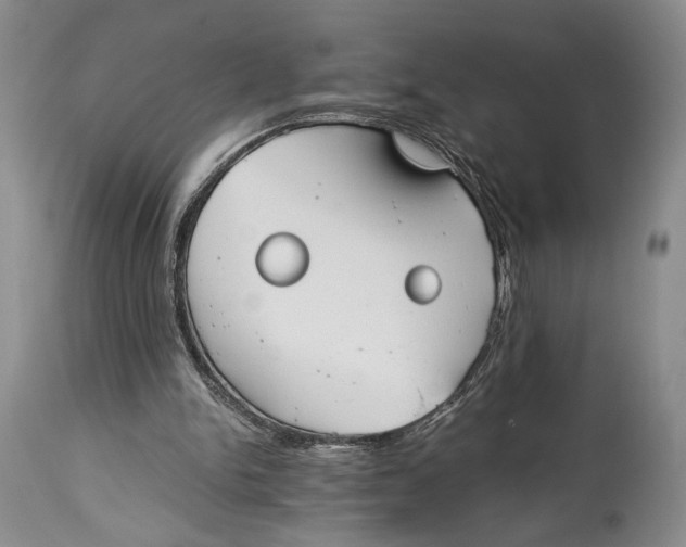 X0000114540150200911091141