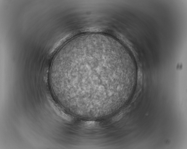 X0000114540153200911091141