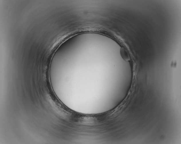 X0000114540154200911091141