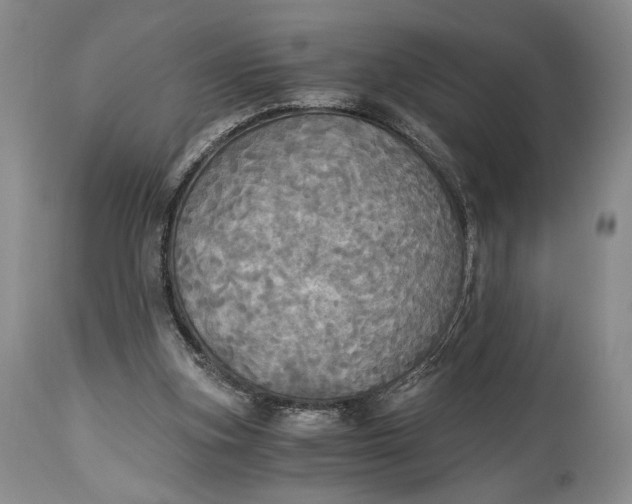 X0000114540155200911091141