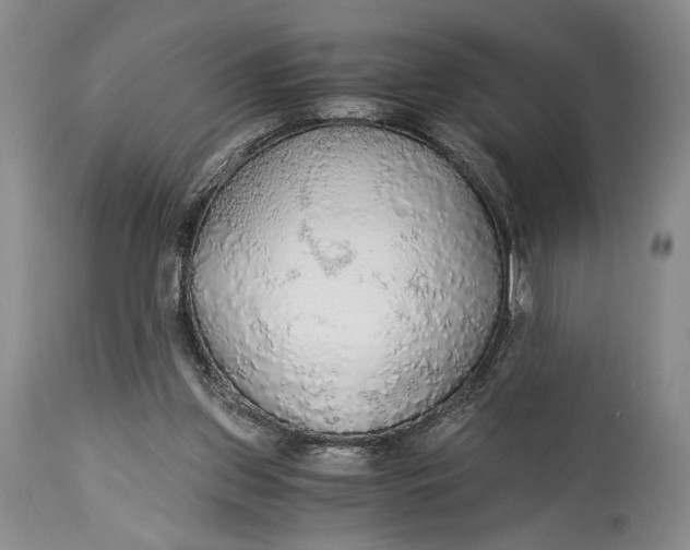 X0000114540157200911091141