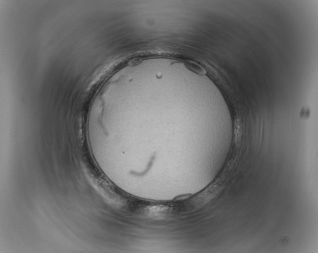 X0000114540158200911091141