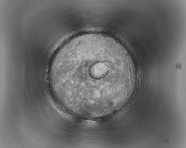 X0000114540159200911091141