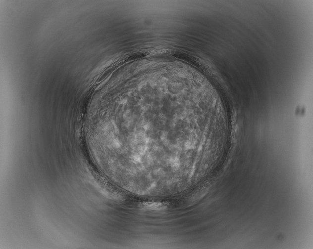 X0000114540161200911091141