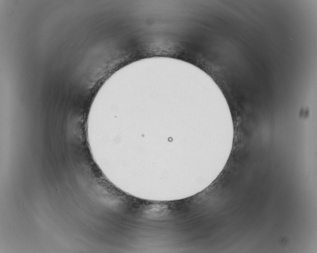 X0000114540162200911091141