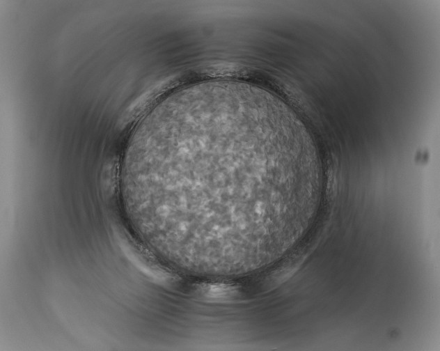 X0000114540165200911091141