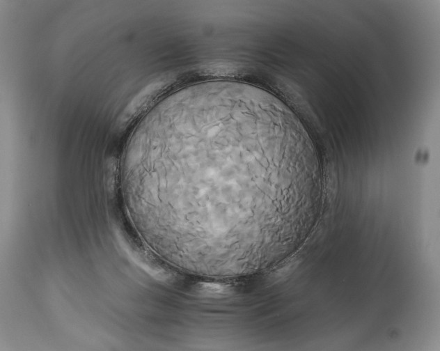 X0000114540167200911091141