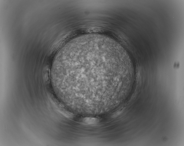 X0000114540169200911091141