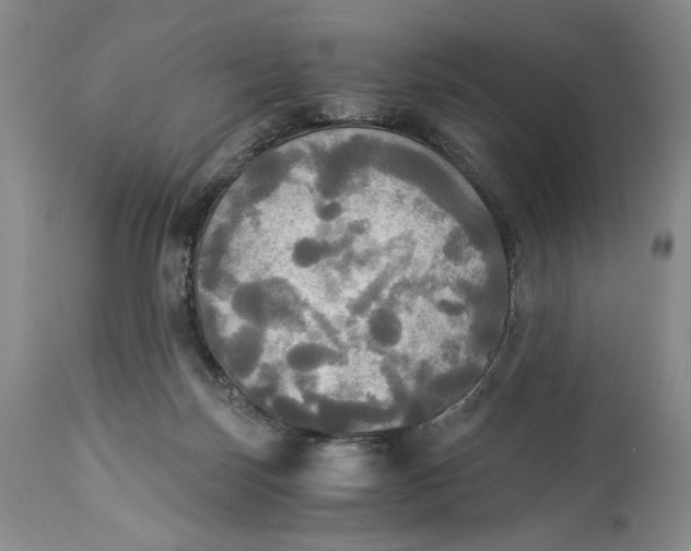 X0000114540171200911091141