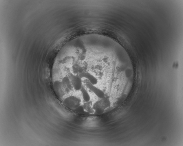 X0000114540173200911091141