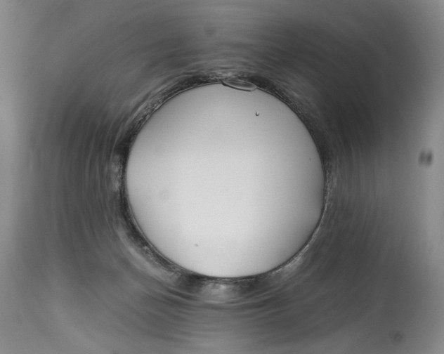 X0000114540174200911091141