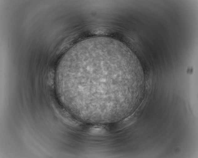 X0000114540175200911091141