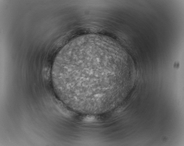 X0000114540177200911091141