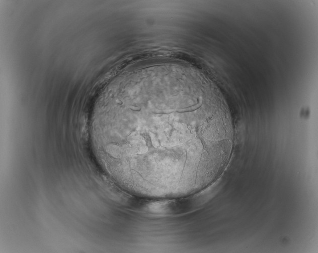 X0000114540178200911091141