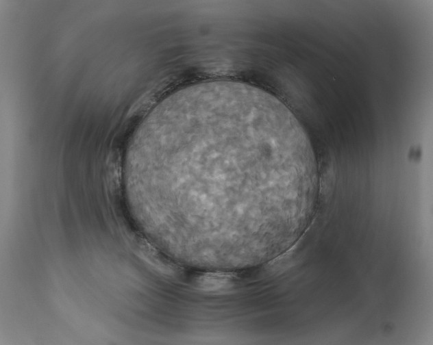 X0000114540179200911091141