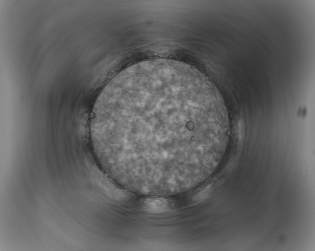 X0000114540181200911091141