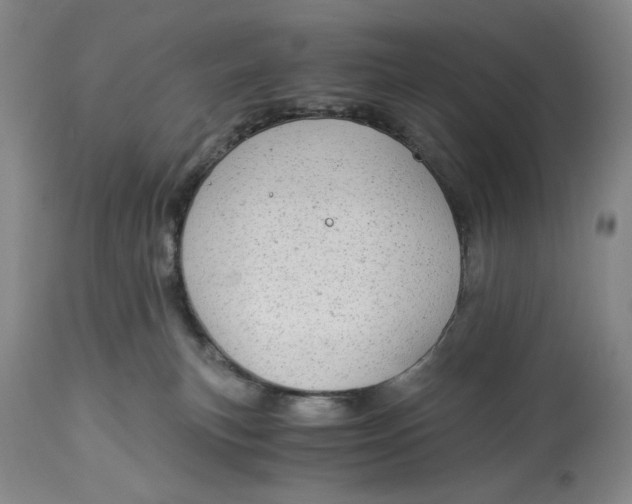 X0000114540183200911091141