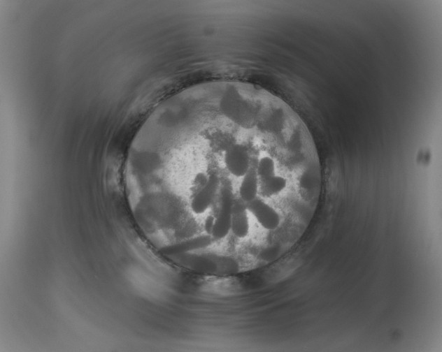 X0000114540185200911091141