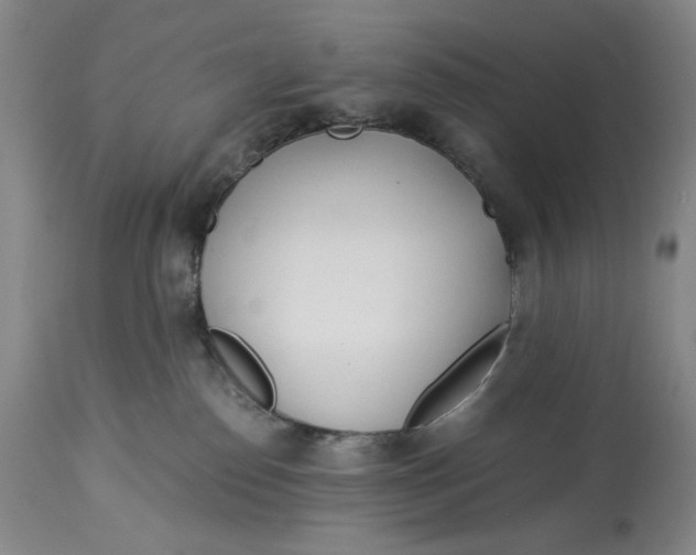 X0000114540186200911091141