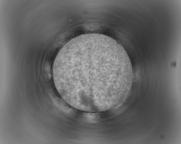 X0000114540187200911091141